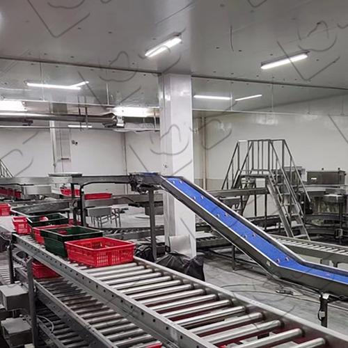 200kg承重·202W非标定制肉类加工输送空净装置——技术参数与应用解析